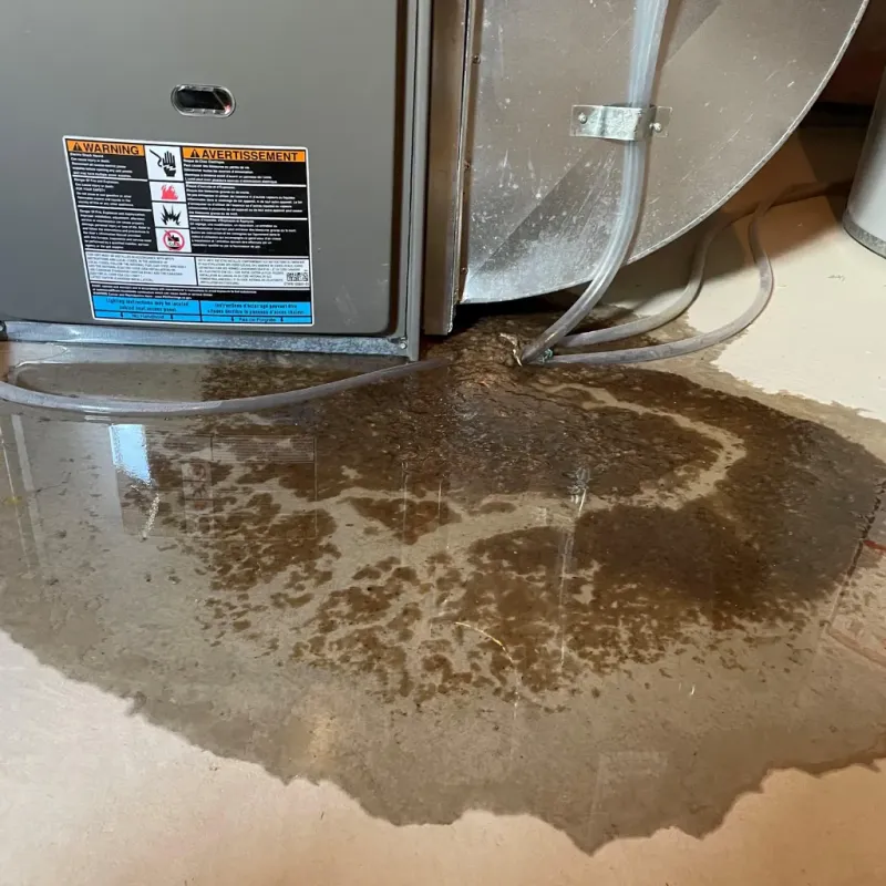 Appliance Leak Cleanup in Bennington, VT